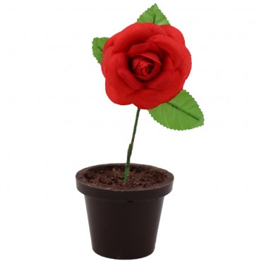 Rose en chocolat