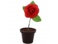 Rose en chocolat